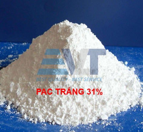 PAC 31% TQ - Ảnh 2