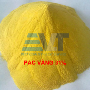 PAC 31% Đông Á