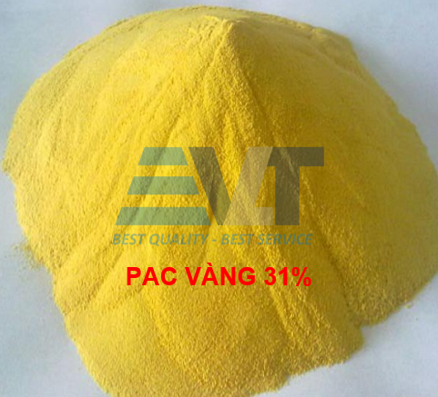 PAC 31% TQ